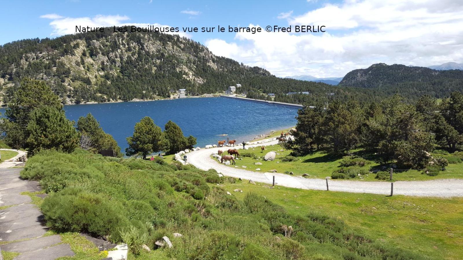 Camping Las Asperas*** Palau-de-Cerdagne 外观 照片